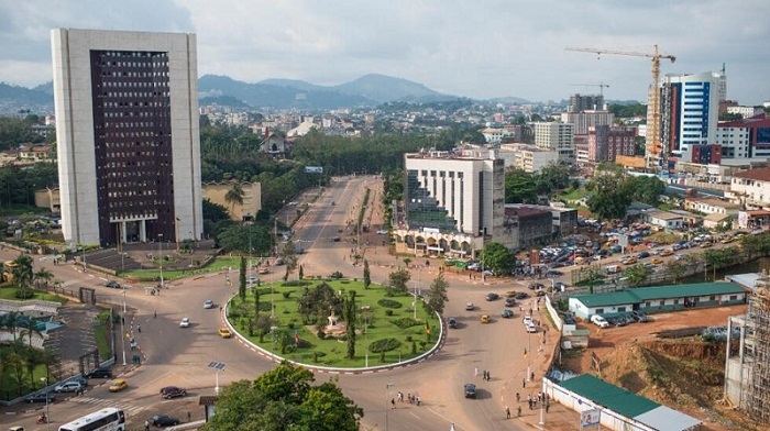 Quels sont les secteurs économiques porteurs du Cameroun ?