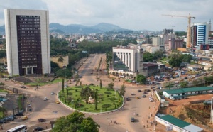 Quels sont les secteurs économiques porteurs du Cameroun ?